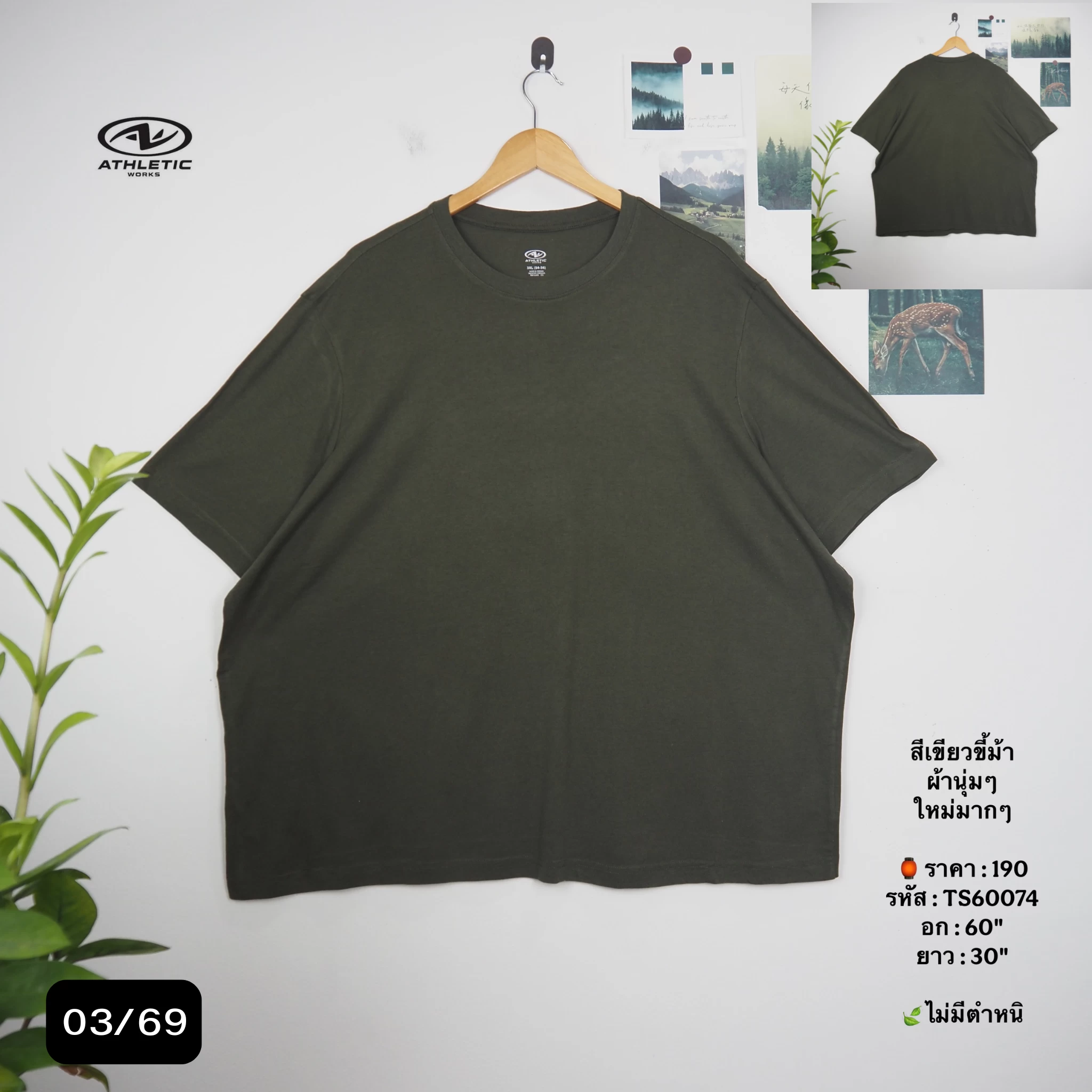 TS60074