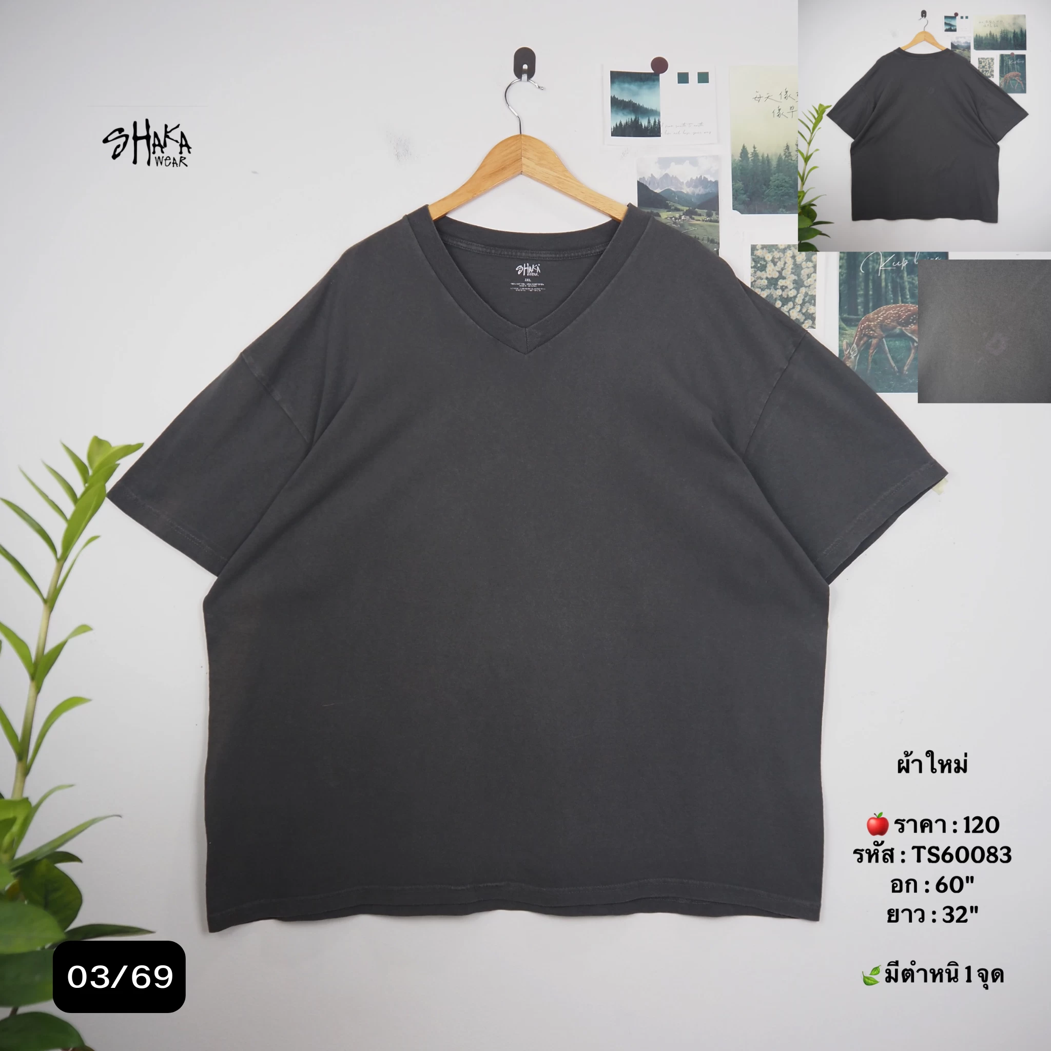 TS60083