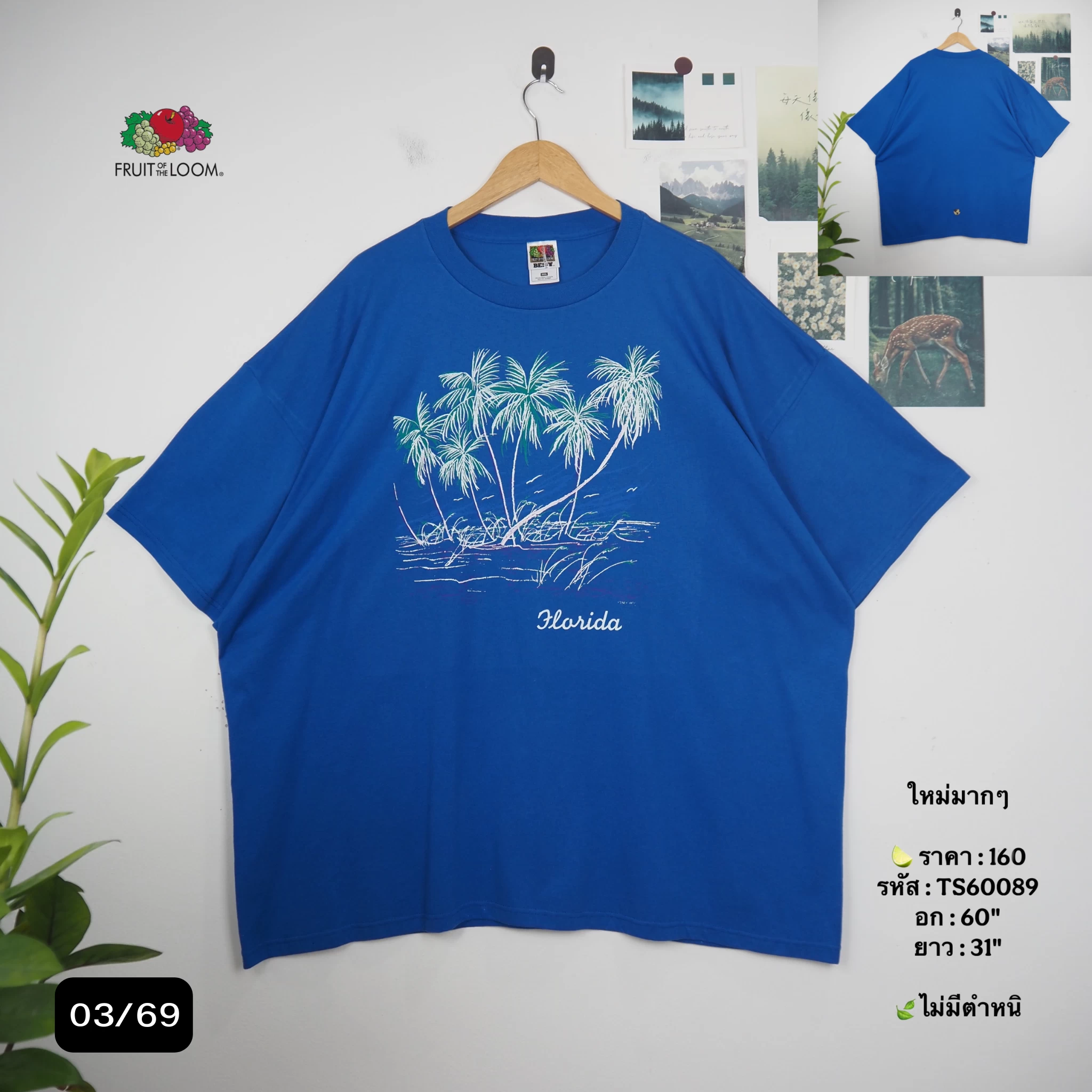 TS60089