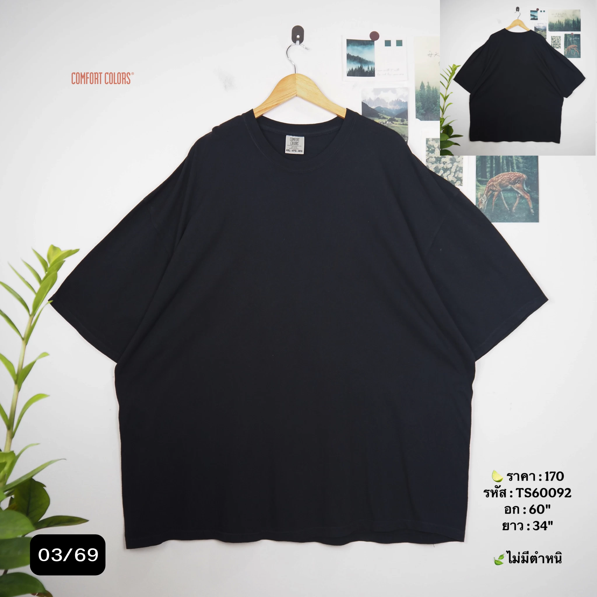 TS60092