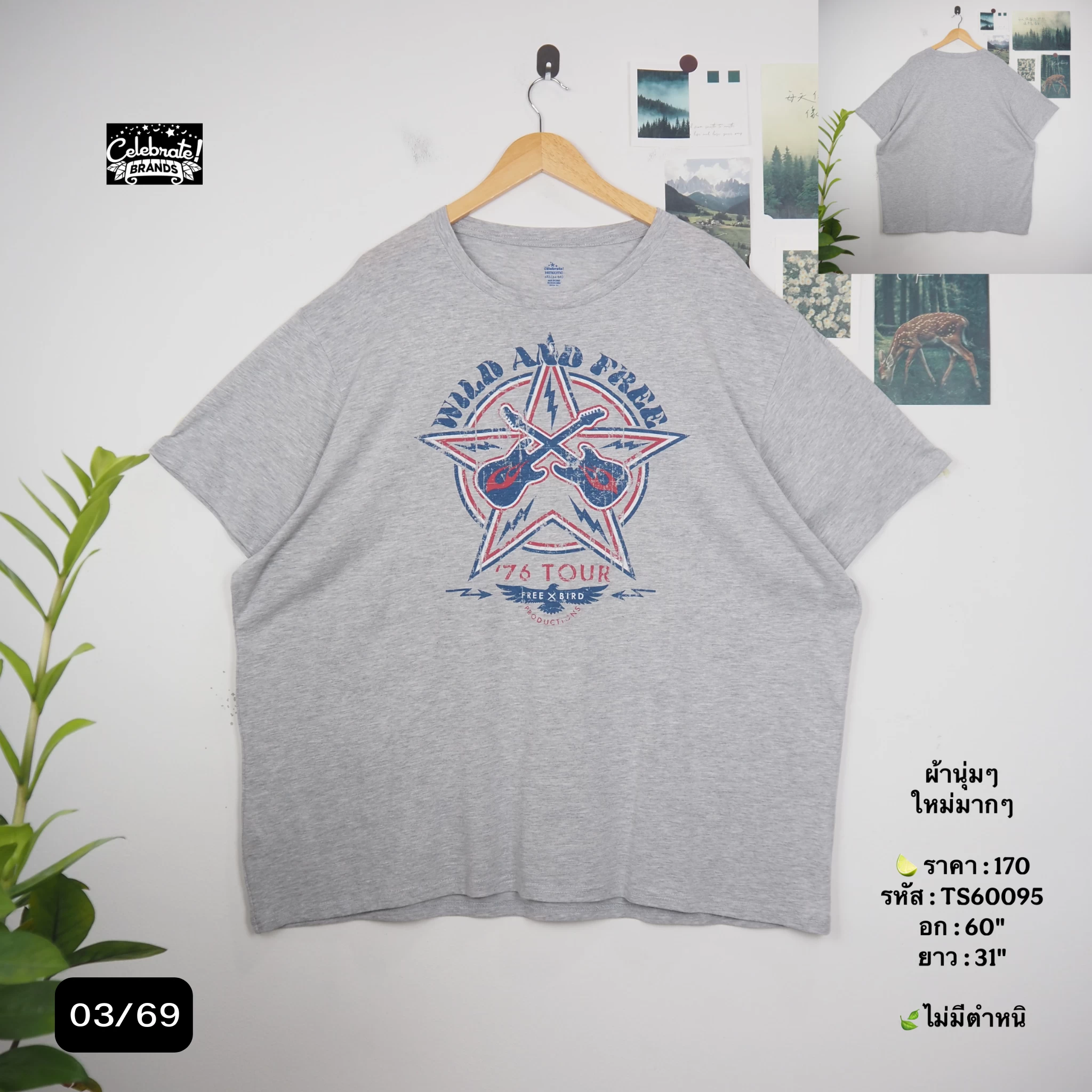 TS60095