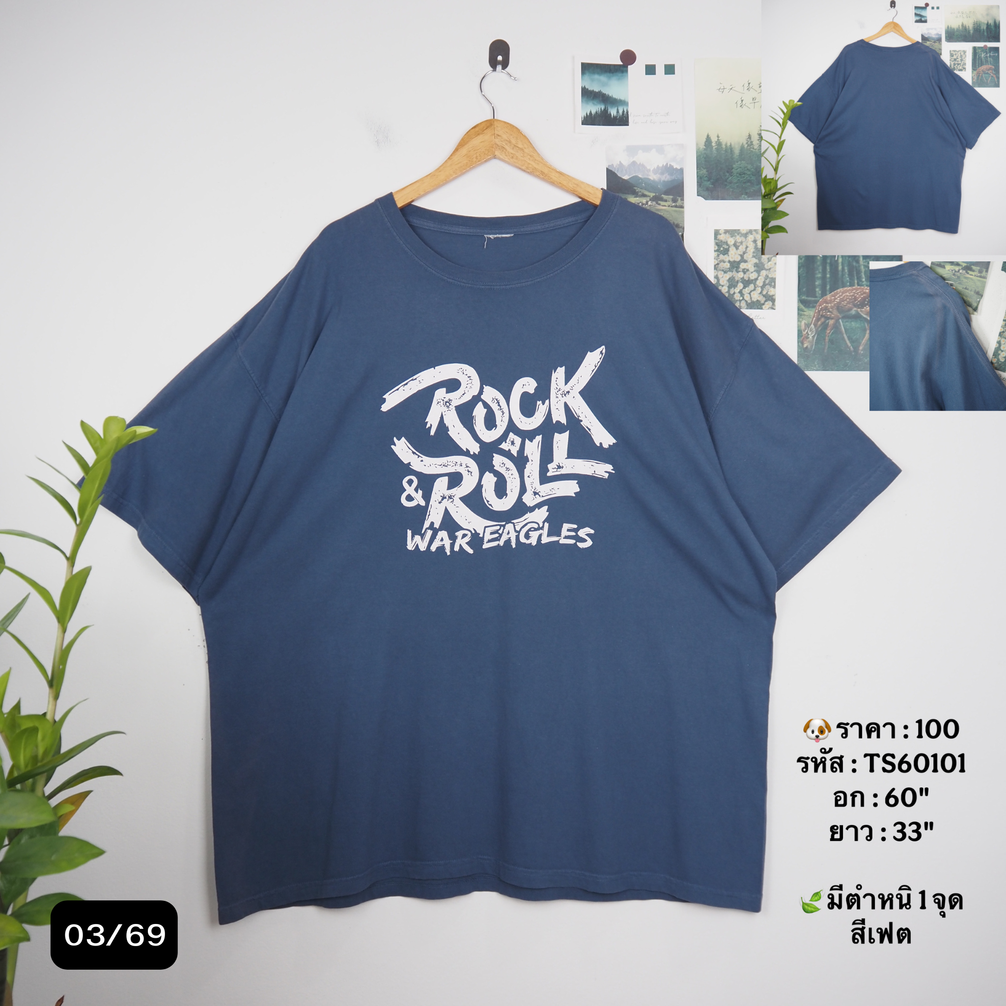 TS60101