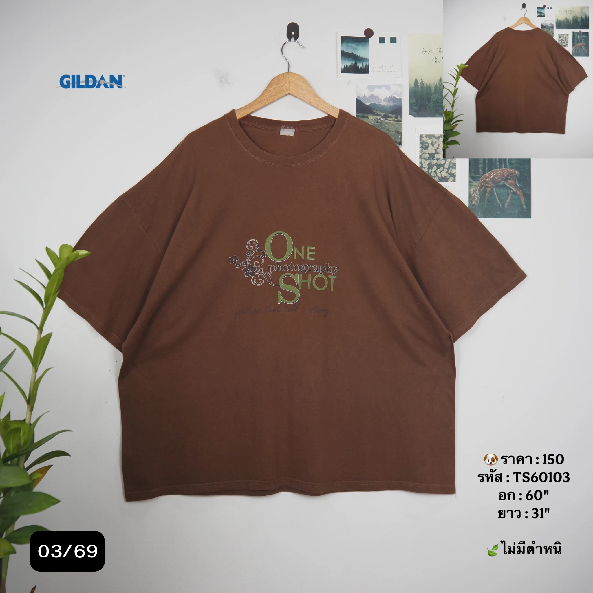 TS60103