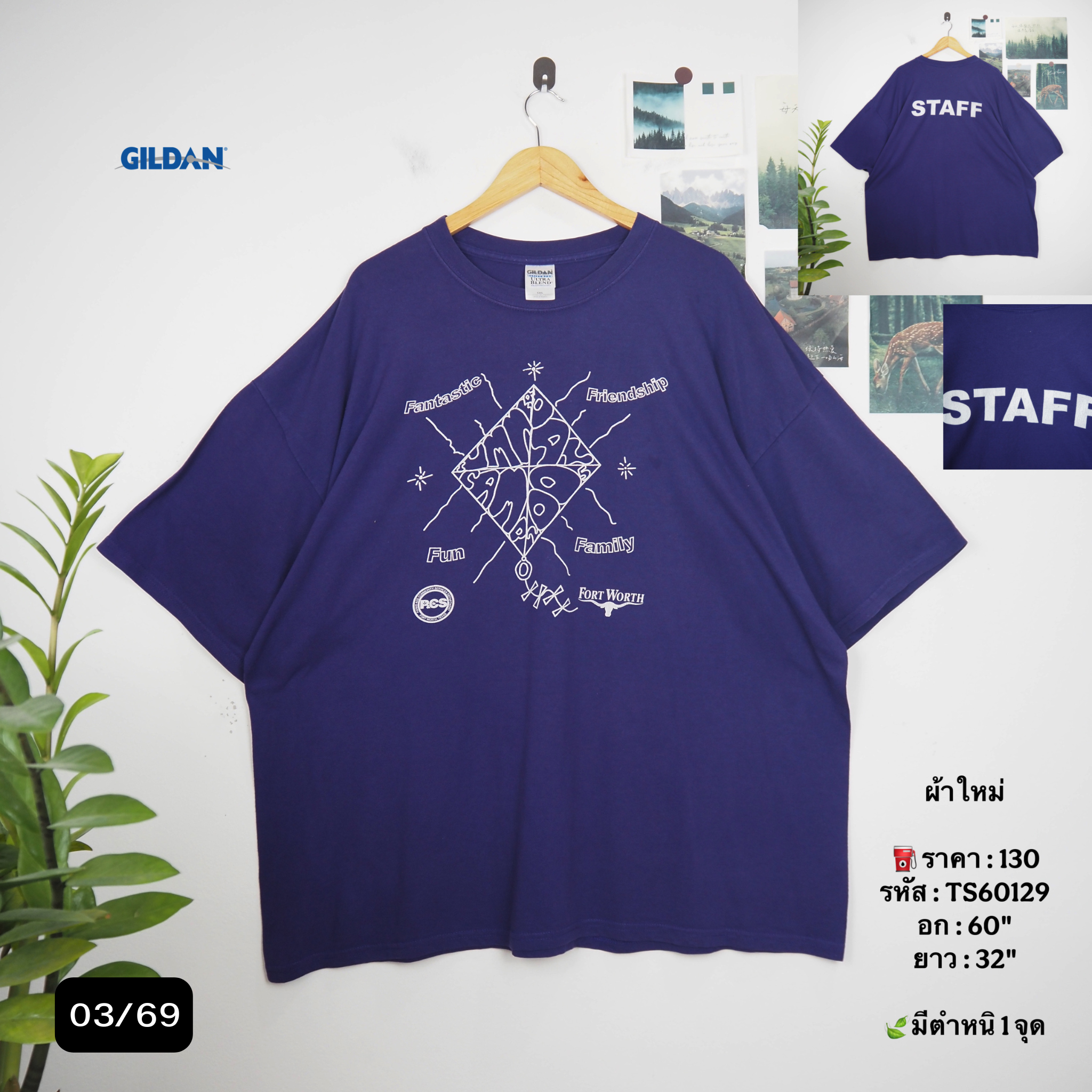 TS60129
