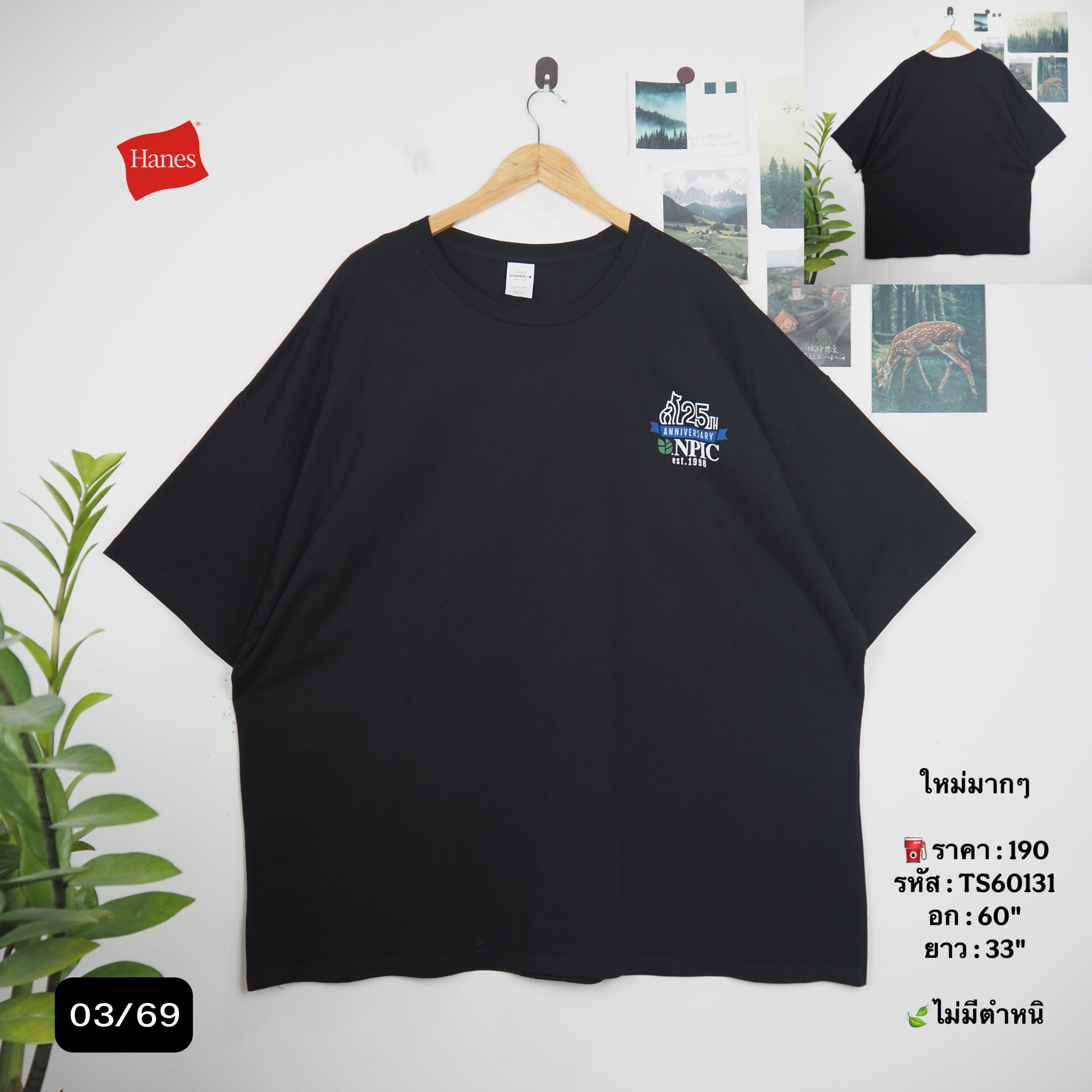 TS60131