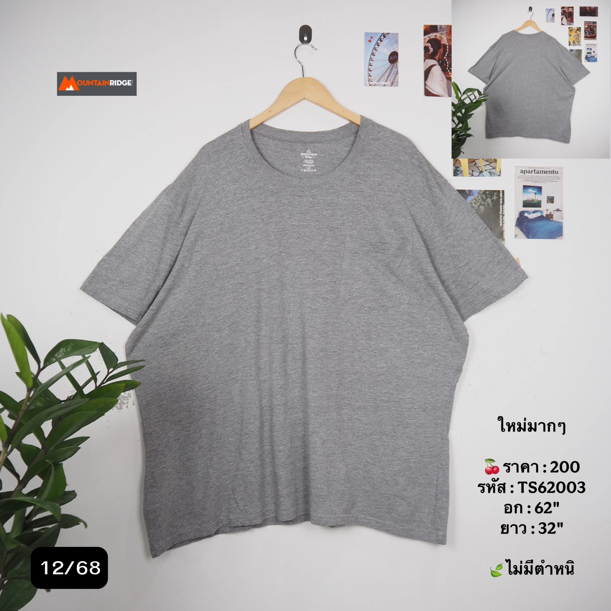 TS62003