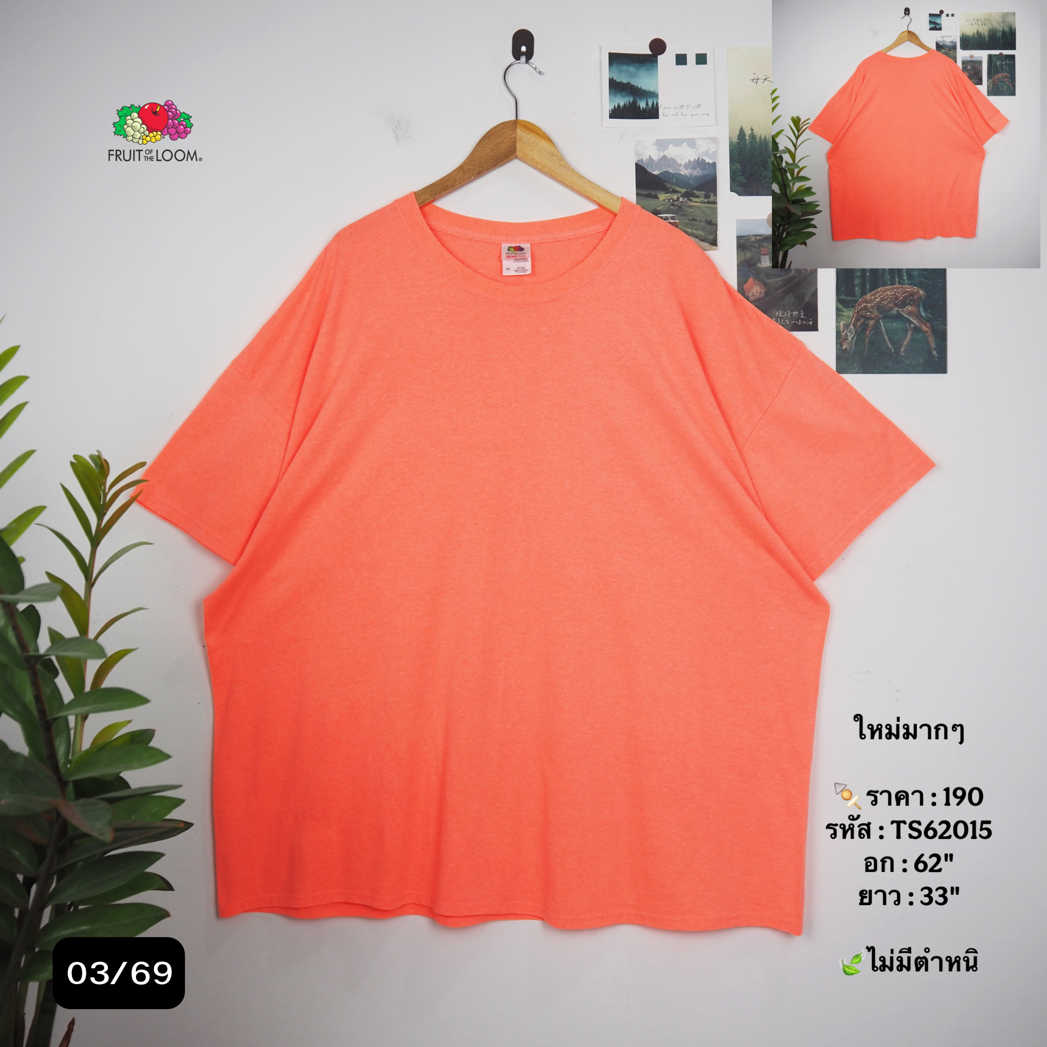 TS62015