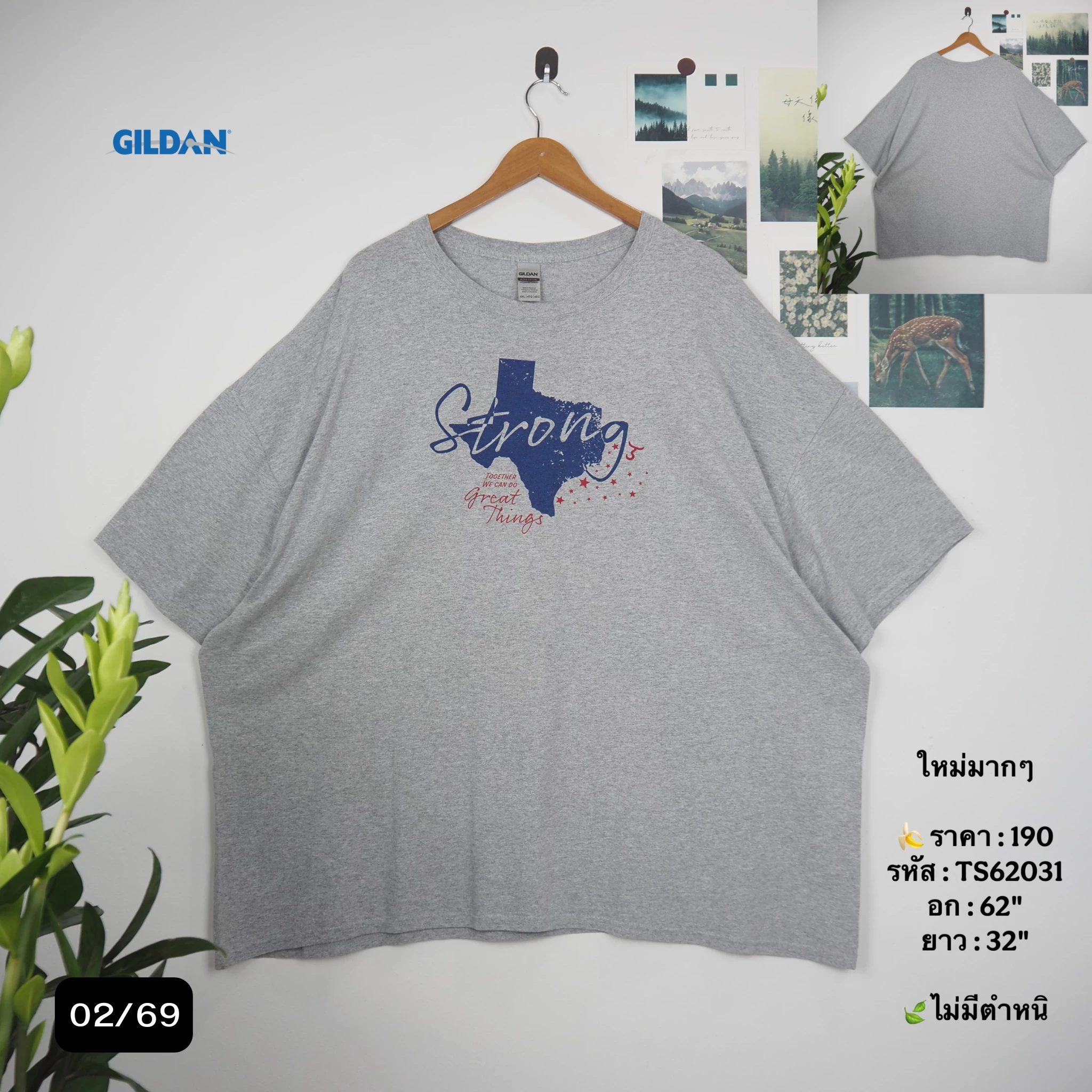 TS62031