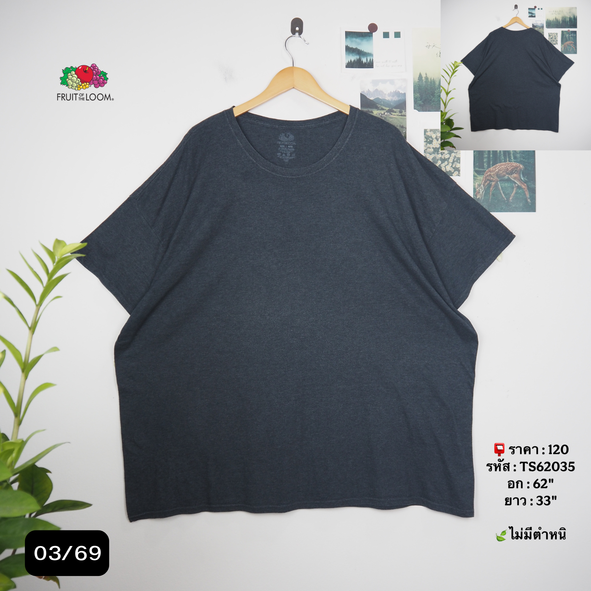 TS62035