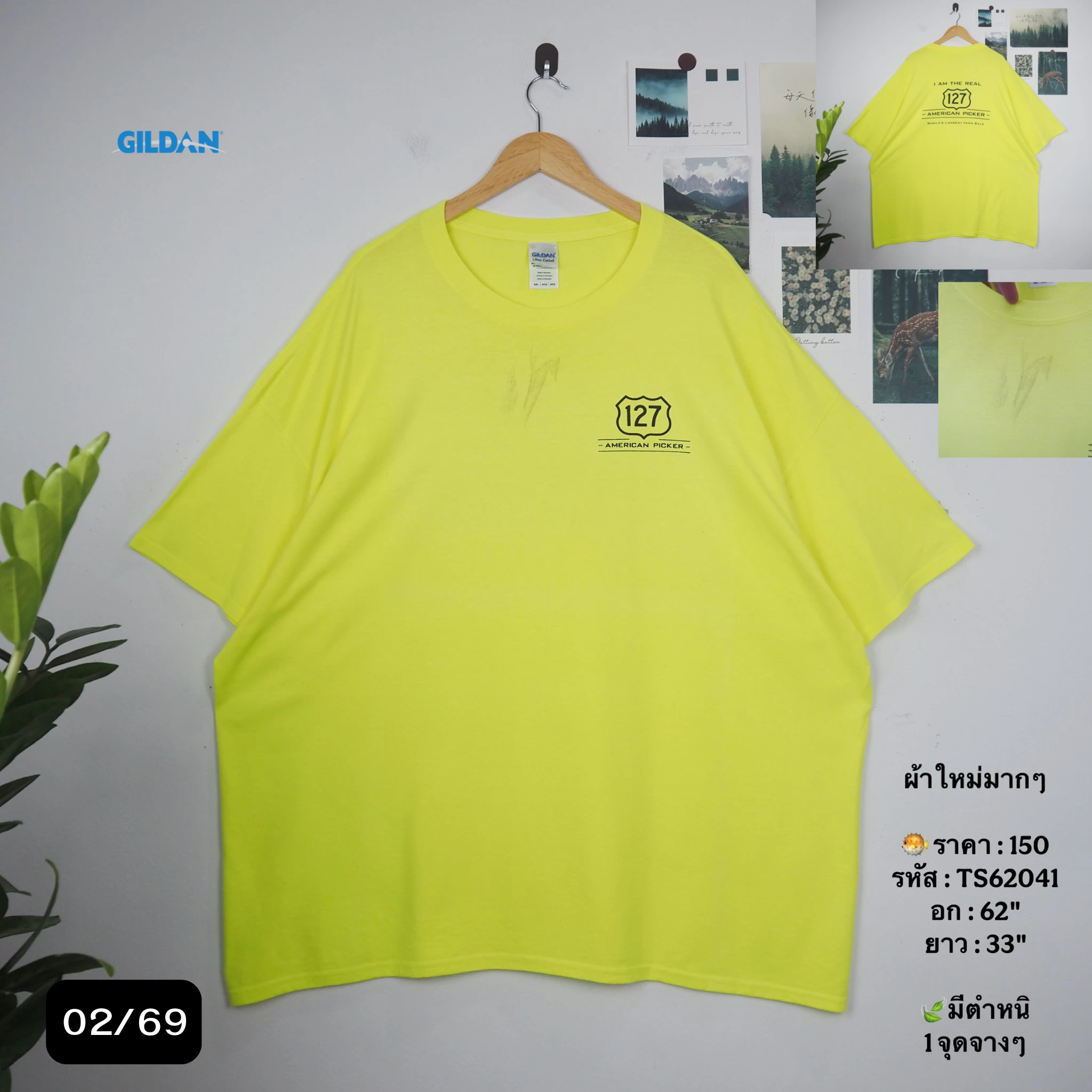 TS62041