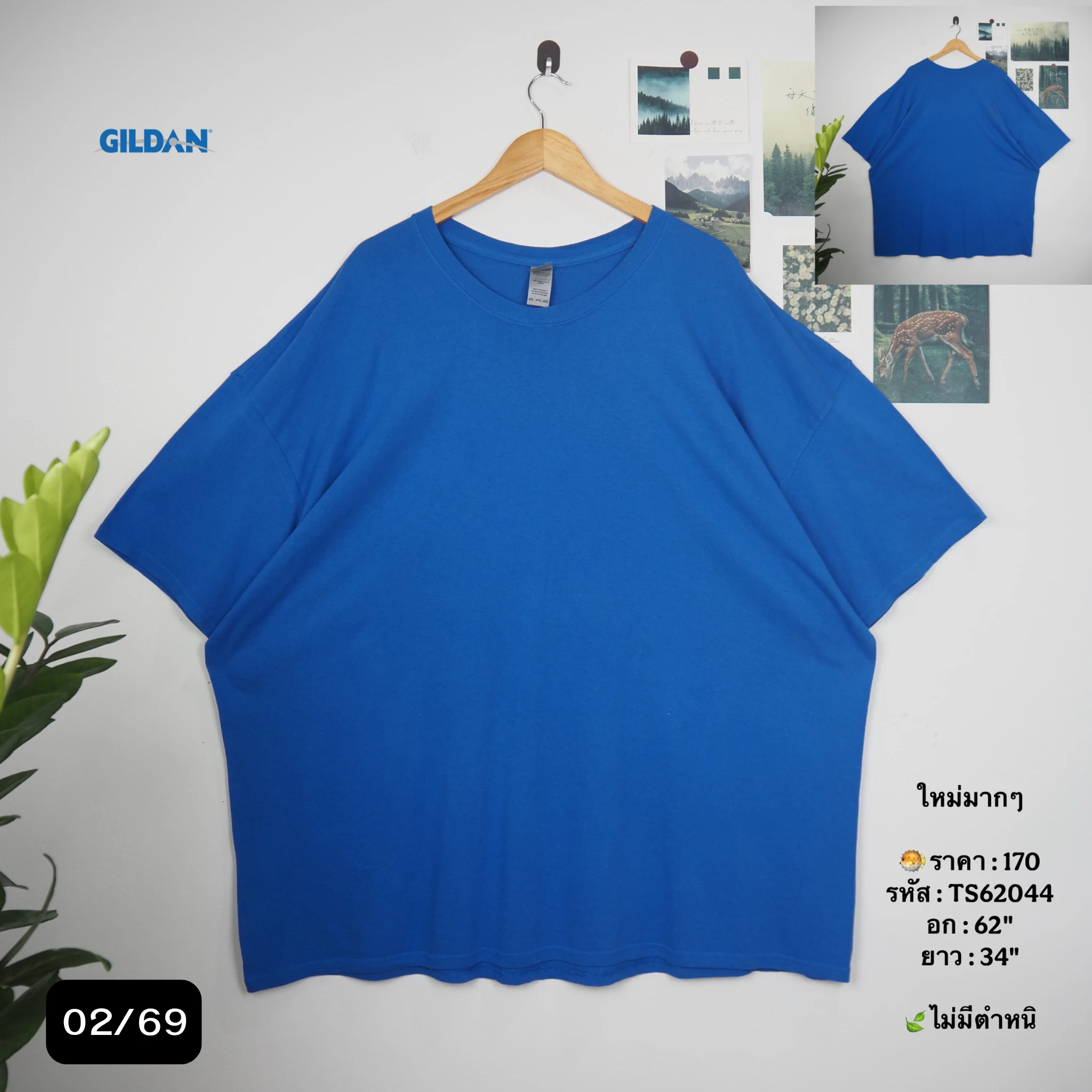 TS62044