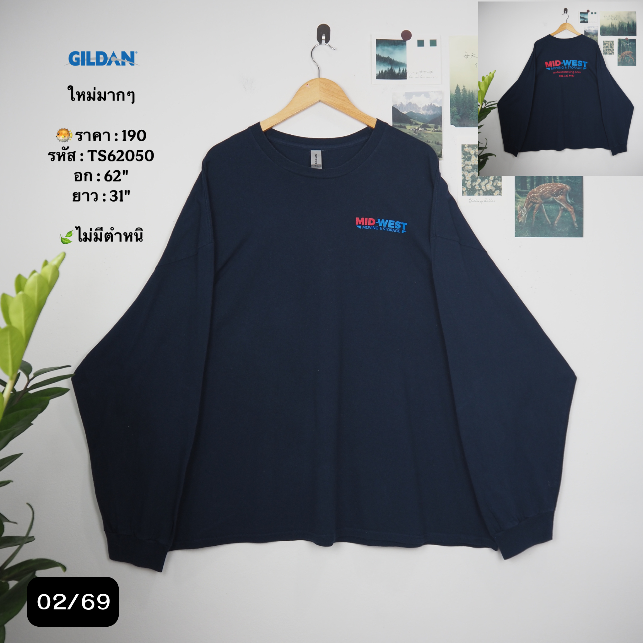 TS62050