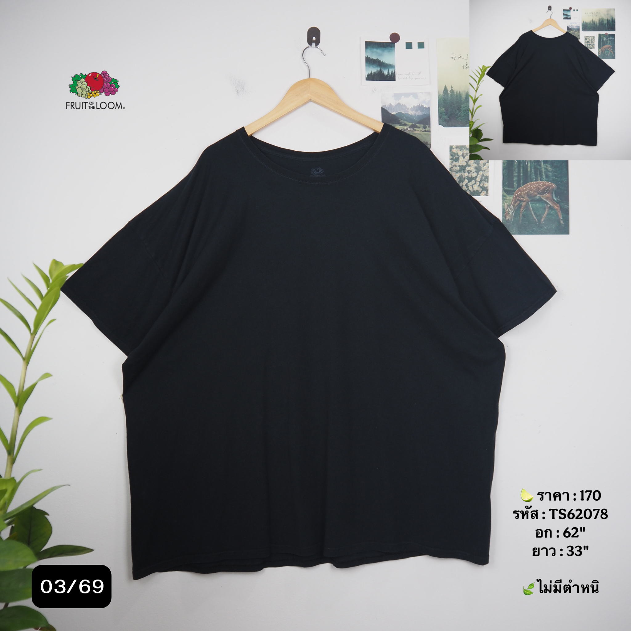 TS62078