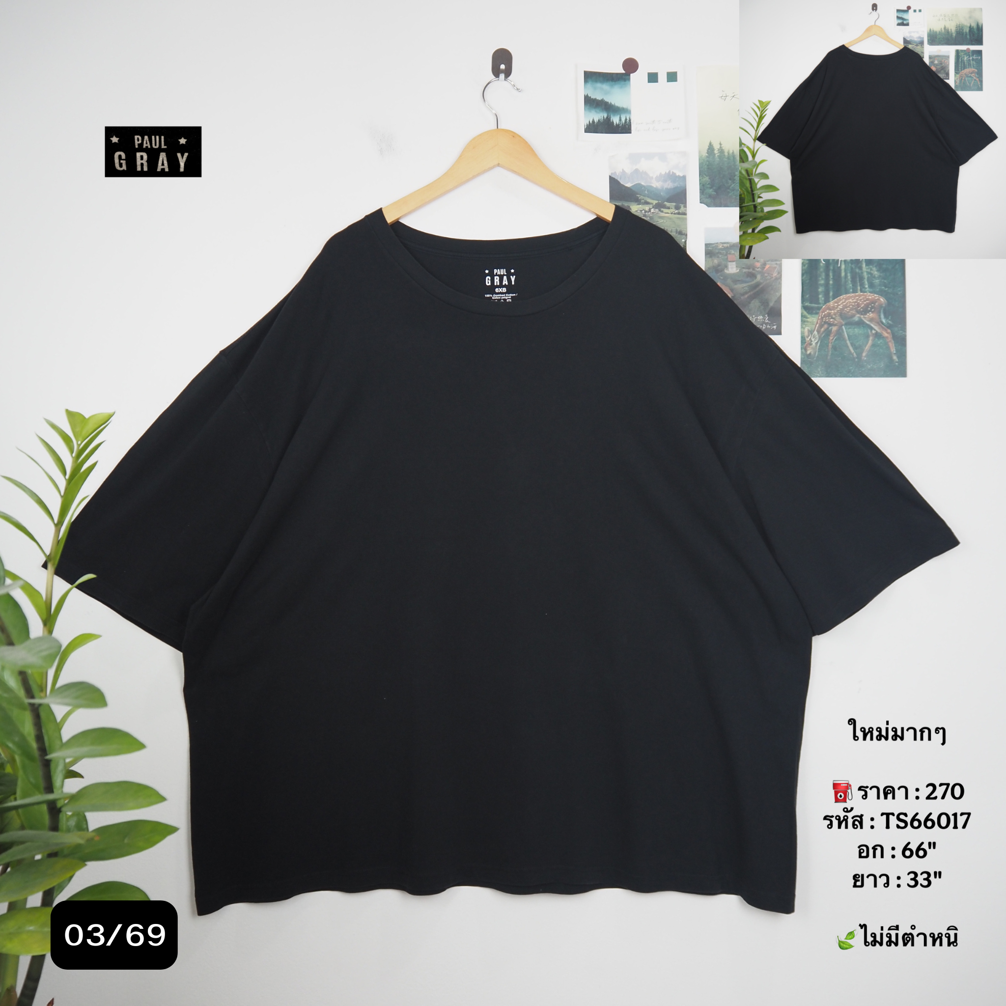 TS66017