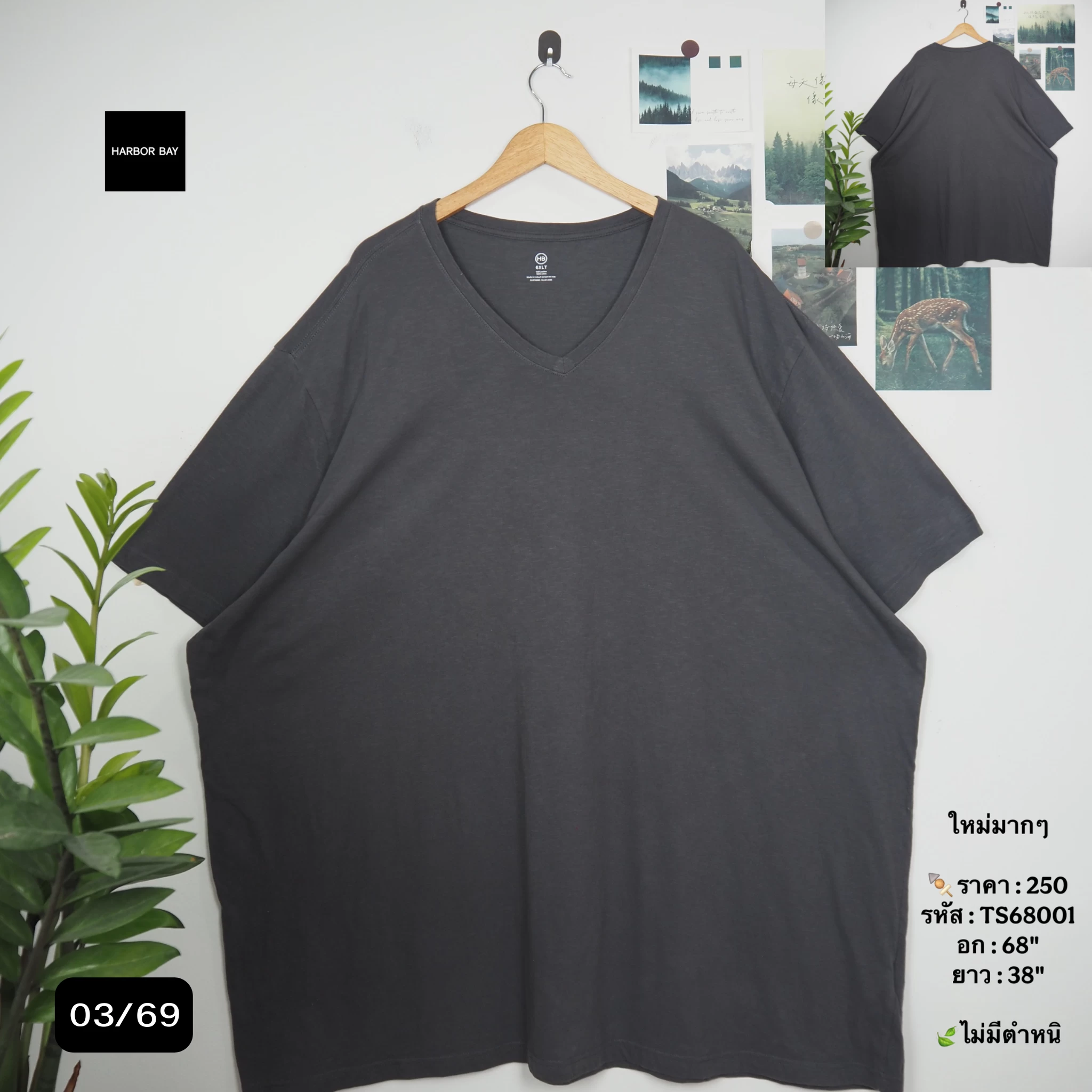 TS68001