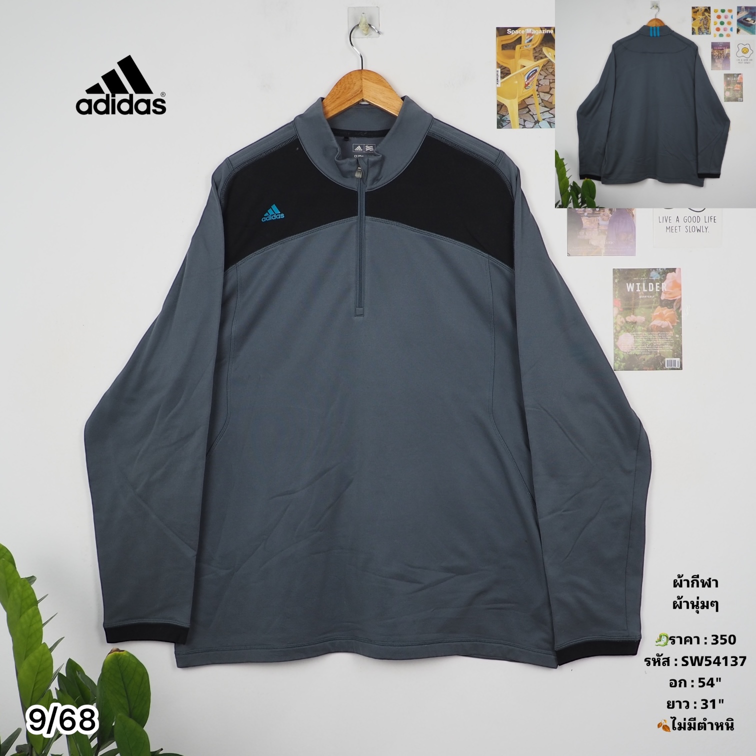 SW54137