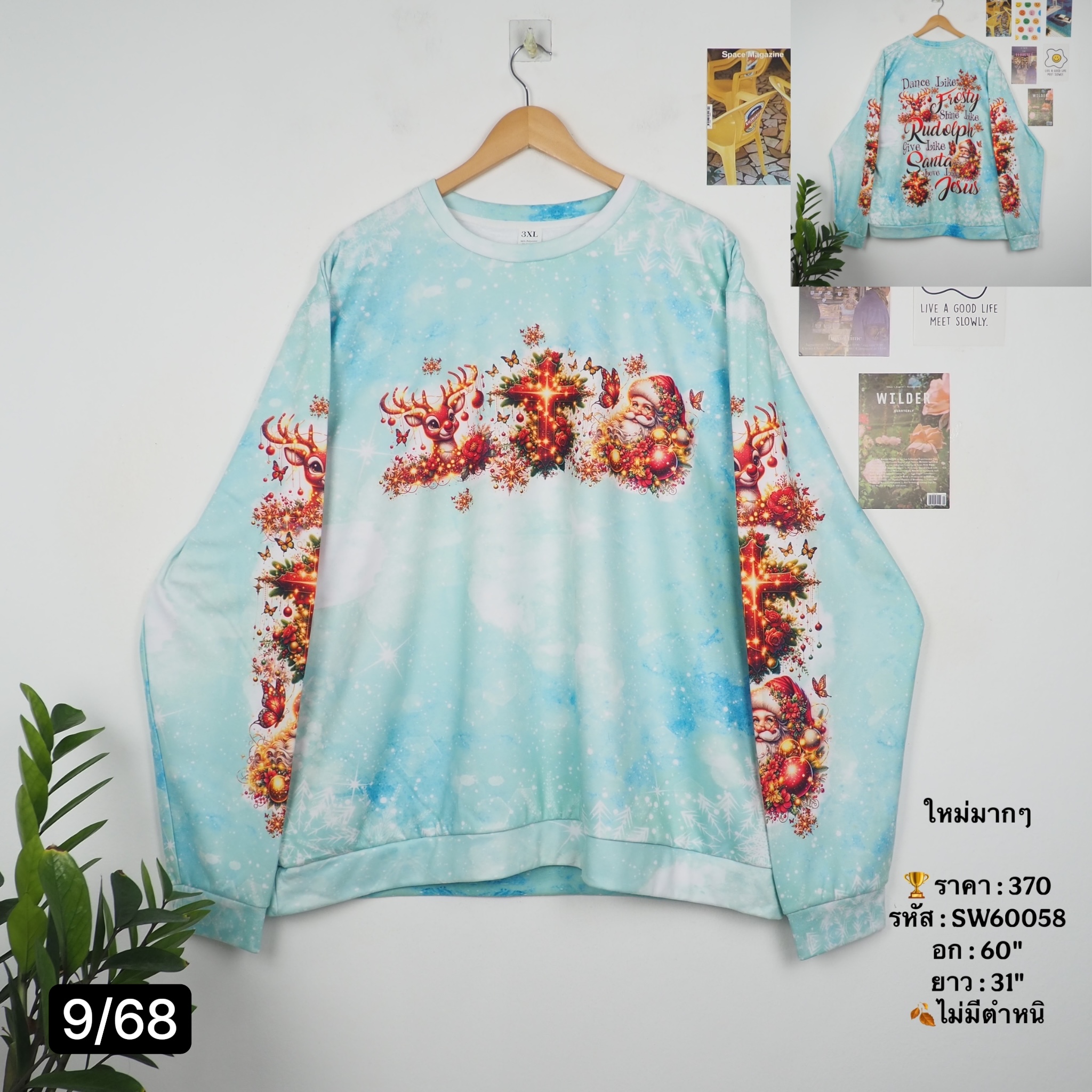 SW60058