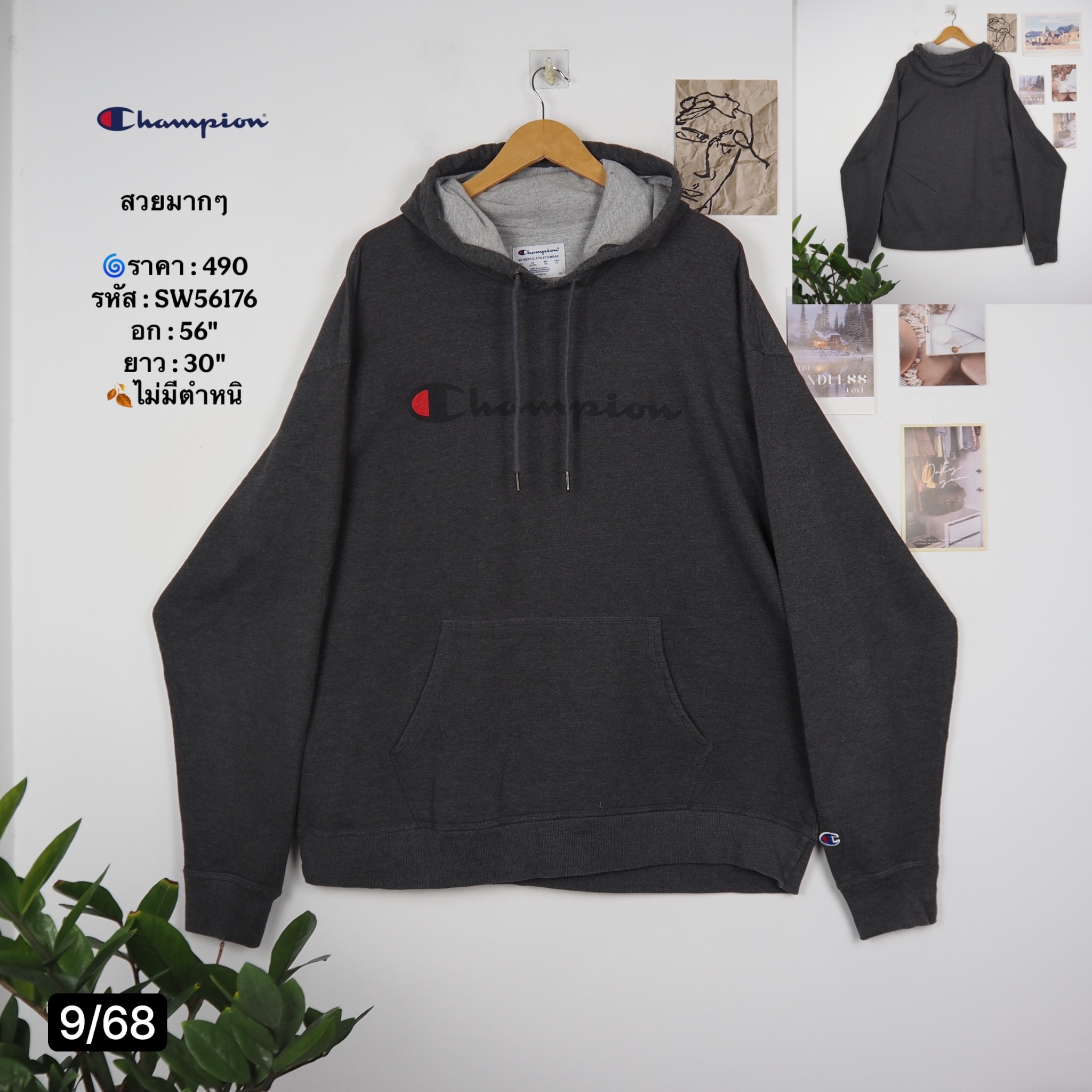 SW56176
