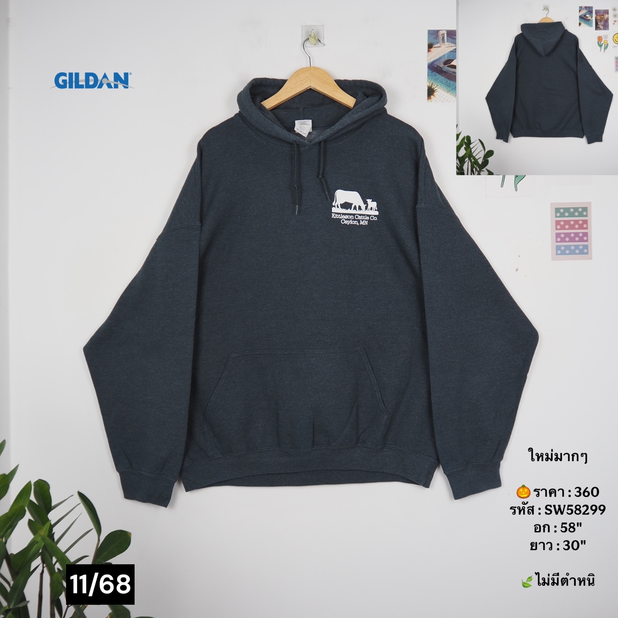 SW58299