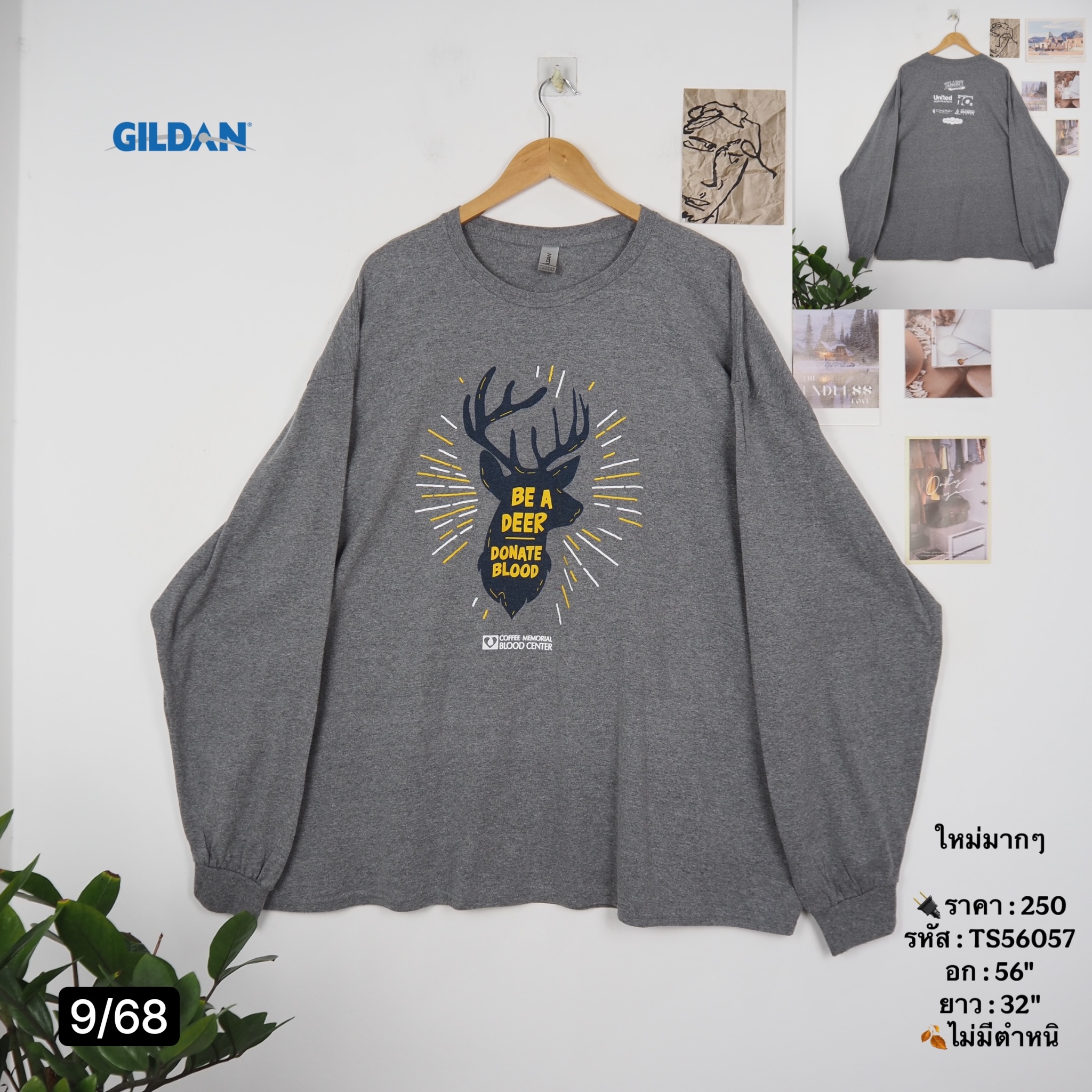 TS56057