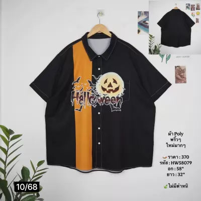 HW58079