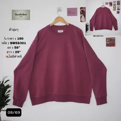 SW58301