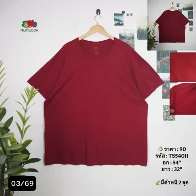 TS54011