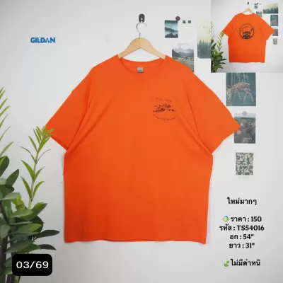 TS54016