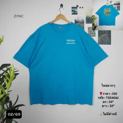 TS54061