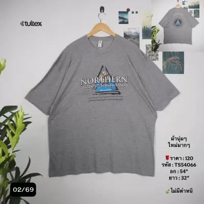 TS54066