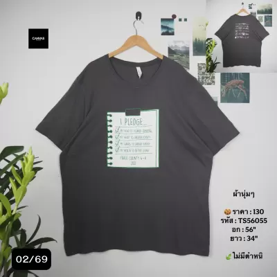 TS56055