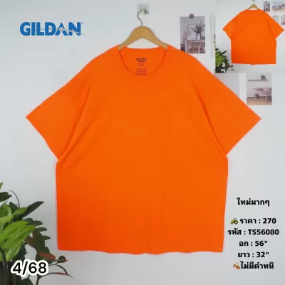 TS56080