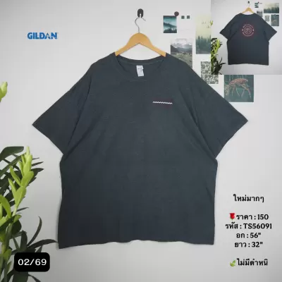 TS56091