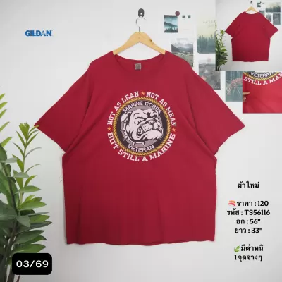 TS56116