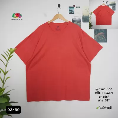 TS56159