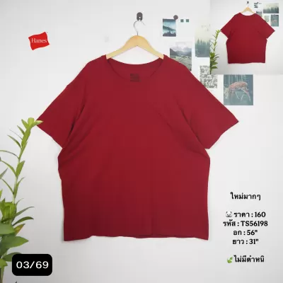 TS56198