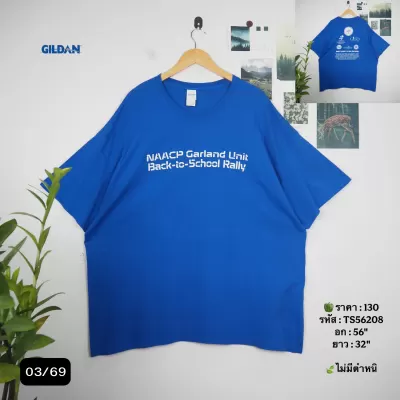 TS56208