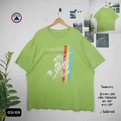 TS56234
