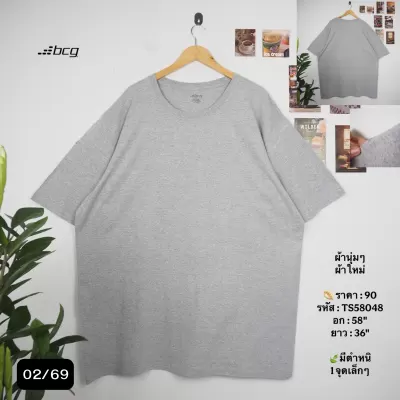 TS58048