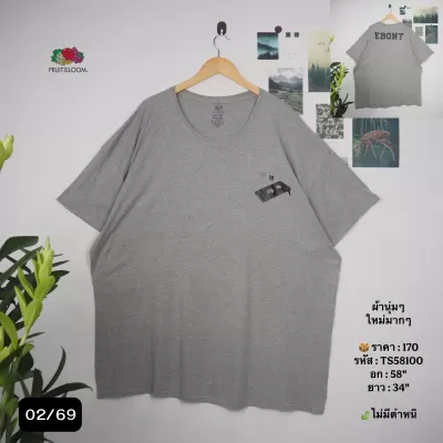 TS58100