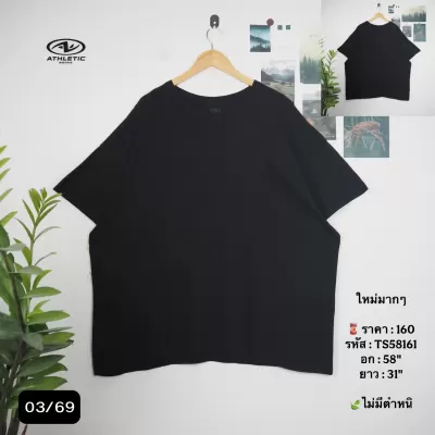 TS58161