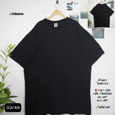 TS60068