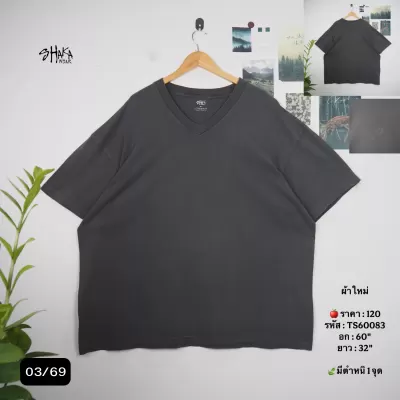 TS60083