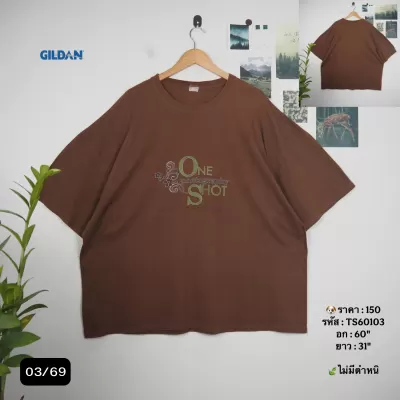 TS60103