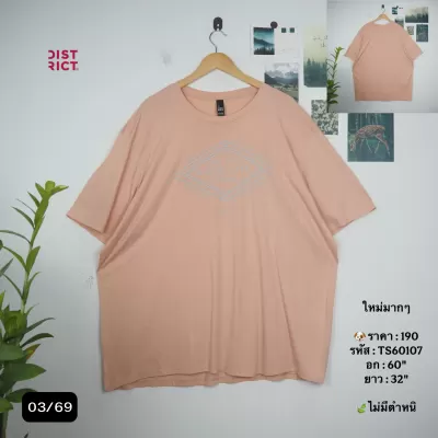 TS60107