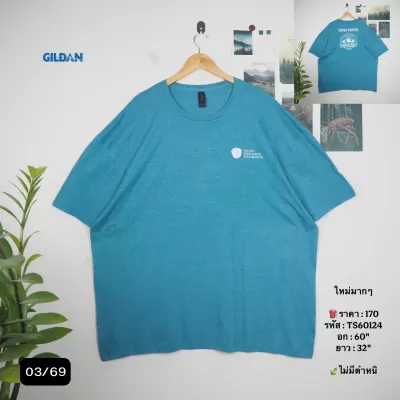 TS60124