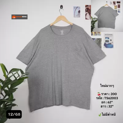 TS62003