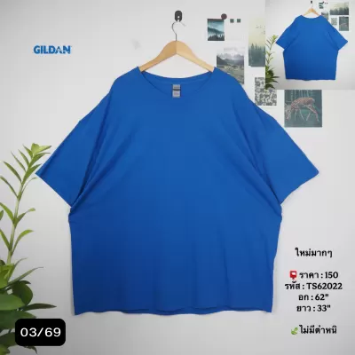 TS62022