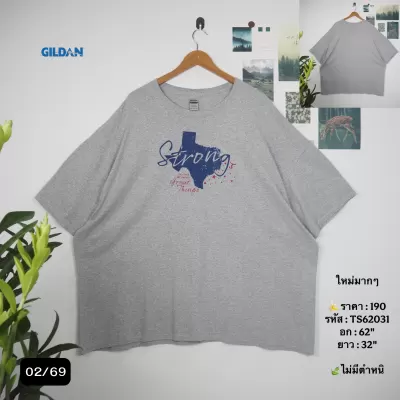 TS62031