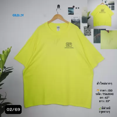 TS62041